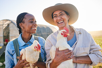 Buy stock photo Farm, happy and women with chicken in nature, countryside or field for wellness, growth or ecology. Agriculture team, sustainable farming and people for collaboration in free range poultry production