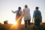 Women, farmer and walking in countryside on a grass field at sunset with cow and cattle. Female group, back and agriculture outdoor with animals and livestock for farming in nature with freedom