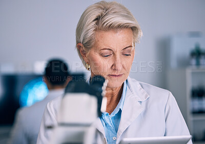 Buy stock photo Science, tablet and medical with woman in laboratory for planning, research and pharmacy. Medicine, healthcare and digital report with mature scientist reading online for email, data and result