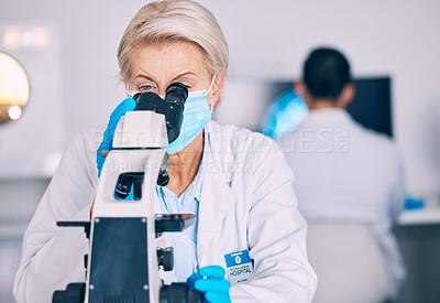 Buy stock photo Microscope, senior woman and lab research with science work for a pharmaceutical or medical study. Chemistry, biometric and molecule analytics equipment for particles investigation in a hospital