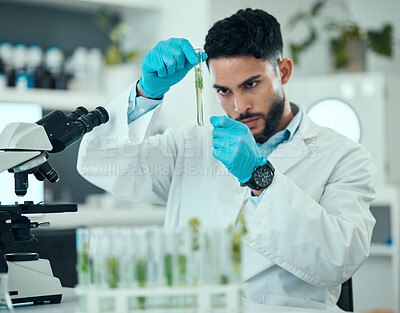 Buy stock photo Science, plants and man with test tube in laboratory, research and nature engineering at microscope. Biotechnology, botany study and leaves in glass, scientist or lab technician checking solution.