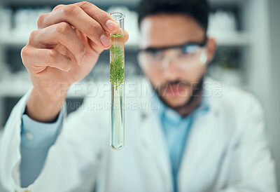 Buy stock photo Science, test tube plant and man focus on pharmaceutical test, biotechnology development or botany innovation. Lab hand, pharmacy clinical trial or male scientist inspection of leaf chemical solution