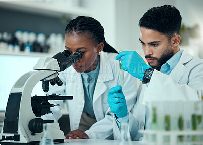 Buy stock photo Science team, test tube plant and microscope analysis of natural product, biotechnology and teamwork on botany development. Lab collaboration, investigation and scientist inspection of organic growth
