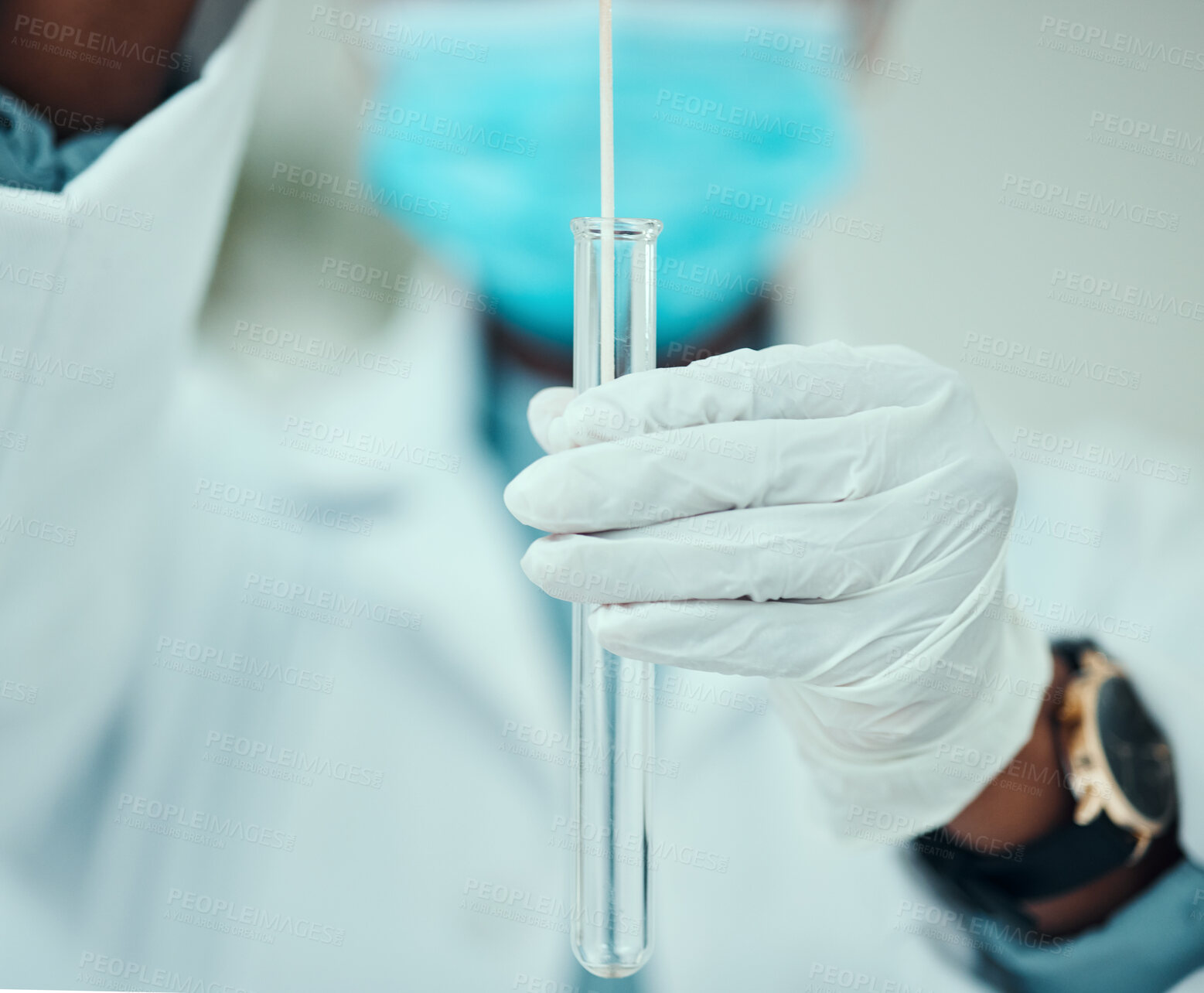 Buy stock photo Medical, pcr and dna with hands of doctor for vaccine research, science and test. Pharmacy, medicine and healthcare with closeup of person and cotton swab for virus, pathology exam and diagnosis