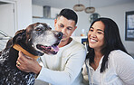 Happy, playing and a couple with a dog in a house for love, care and bonding with a pet. Smile, apartment and a young playful man and woman with an animal in the living room of a home together