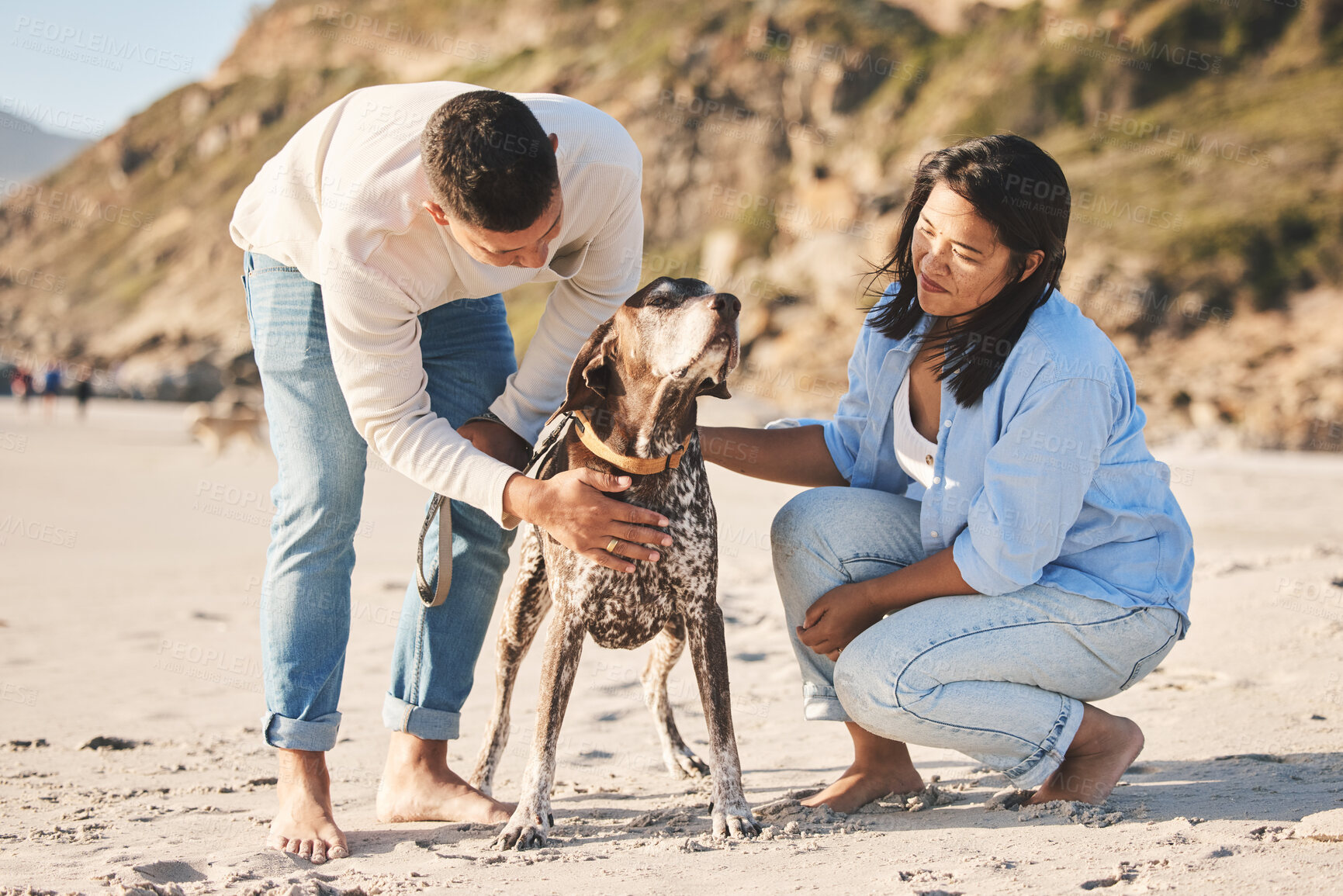 Buy stock photo Beach, happy and couple with dog by ocean for freedom, adventure and bonding together in nature. Happy pet, domestic animal and man and woman play by sea for exercise, wellness and walking in nature