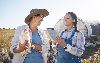 Buy stock photo Teamwork, tablet or women farming chicken on field or agriculture for natural sustainability research. Technology, seller or happy people in countryside farm with live stock or rooster for production