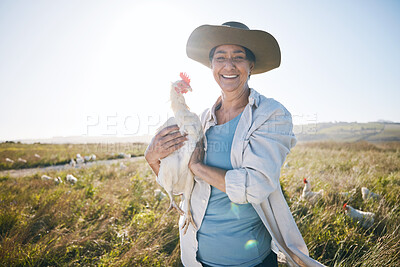Buy stock photo Agriculture, farm and a woman outdoor with a chicken animal care, development and small business. Farming, sustainability and portrait of a poultry farmer person with organic produce in countryside