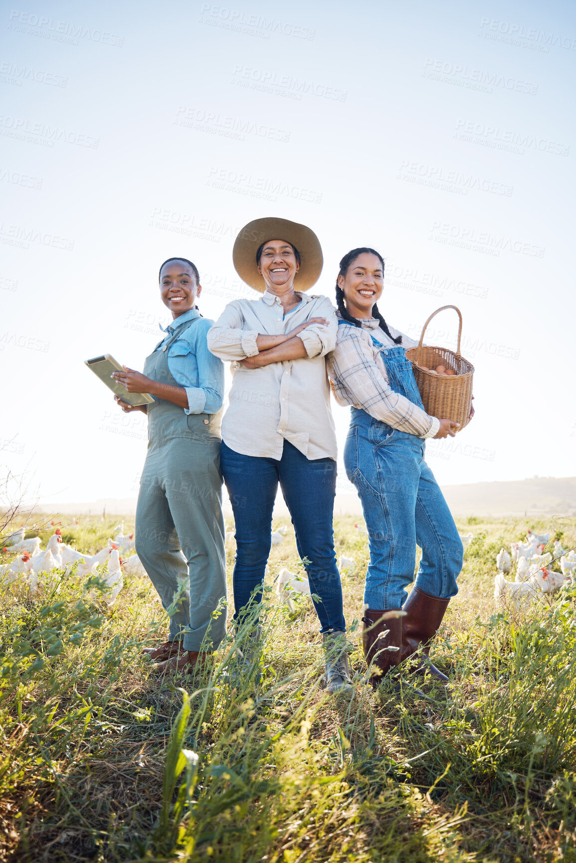 Buy stock photo Chicken, women and a working together on a farm with technology for inspection and quality control. Farming, sustainability and portrait of farmer group with eggs outdoor for teamwork and production