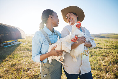 Buy stock photo Happy, team of women and chicken on farm in agriculture, bird or meat production in countryside, field or land outdoor. Smile, poultry farming and collaboration of people in agro for animal livestock