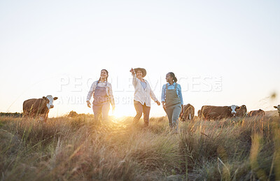 Buy stock photo Cow, farm and employees in countryside working and helping on cattle, live stock or sustainable farming with women. Farmer, manager and pointing worker to animals, grass, grain or rural environment 