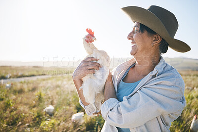 Buy stock photo Farmer, senior woman and agriculture, chicken and field with sustainability and livestock. Poultry farm, agro business and free range, countryside and environment with nature and happy with animal