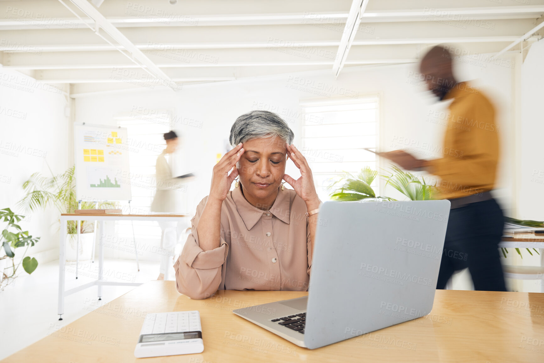 Buy stock photo Headache, stress and senior woman with laptop in busy office with burnout, debt or tax mistake. Anxiety, budget and ceo with migraine, vertigo or brain fog, frustrated or glitch and audit crisis