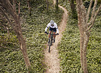 Forest path, mountain bike and sports person travel, ride and adventure on nature trail, cycling challenge or bicycle journey. Top view, environment and athlete training, fitness and freedom in woods