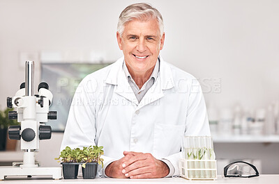 Buy stock photo Science, botany and portrait of old man in laboratory for sustainability research, plant or biochemistry. Pharmacy, medical and healthcare with scientist and for product, ecology or agriculture study