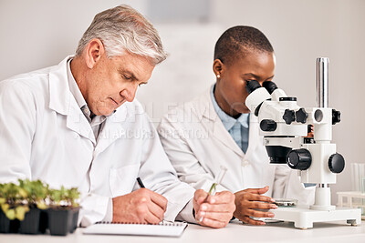 Buy stock photo Science, microscope and sample with a medical team in the laboratory for biochemistry or sustainability. Research, agriculture or growth with a man and woman scientist in a lab for innovation