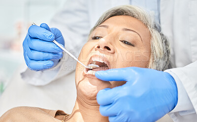 Buy stock photo Woman, mirror and hands of dentist cleaning, check and dental wellness in clinic. Oral, orthodontics and mature patient with doctor, tools and healthcare of teeth in medical hygiene for tooth surgery