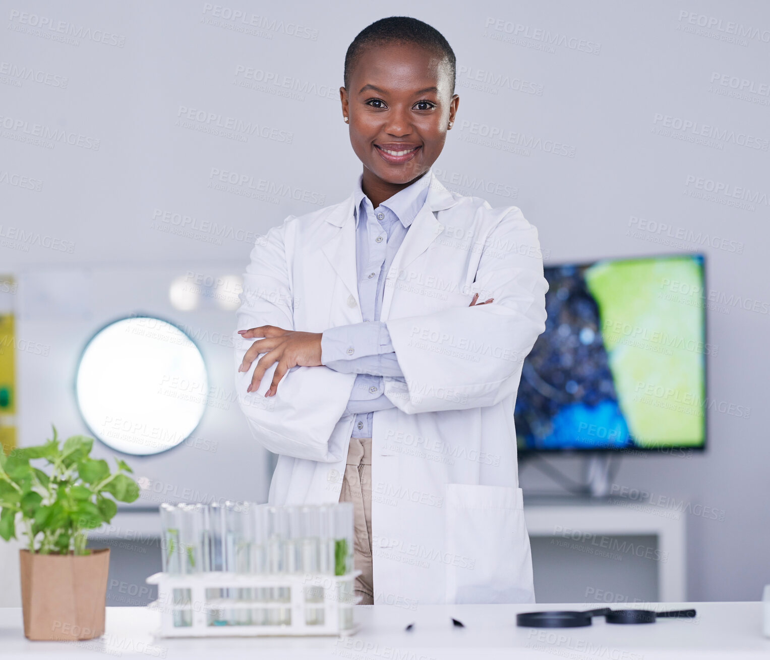 Buy stock photo Black woman, portrait and scientist with arms crossed in lab, office and confidence for biotechnology research or work. Science, laboratory and expert with innovation in African plants or biology