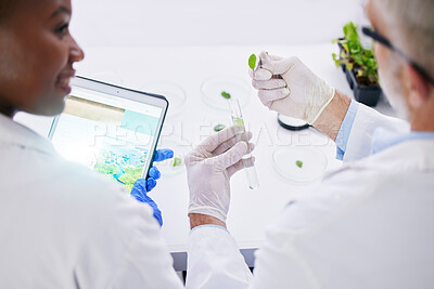 Buy stock photo Scientist, science and hands, test tube and leaves, black woman and senior man with medical research in lab. Mentor, learning and plant sample, environment study and collaboration for investigation