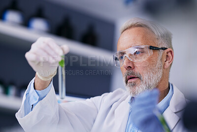 Buy stock photo Scientist, senior man and plant with test tube and sustainability research for agriculture in a laboratory. Leaf, data analysis and glass with eco science and studying medical and ecology exam