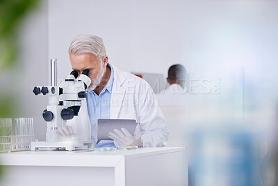 Buy stock photo Science, laboratory and man with microscope, tablet and research with plants, botany or sustainable medicine. Professional scientist with study on nature, growth and digital analysis of leaves in lab