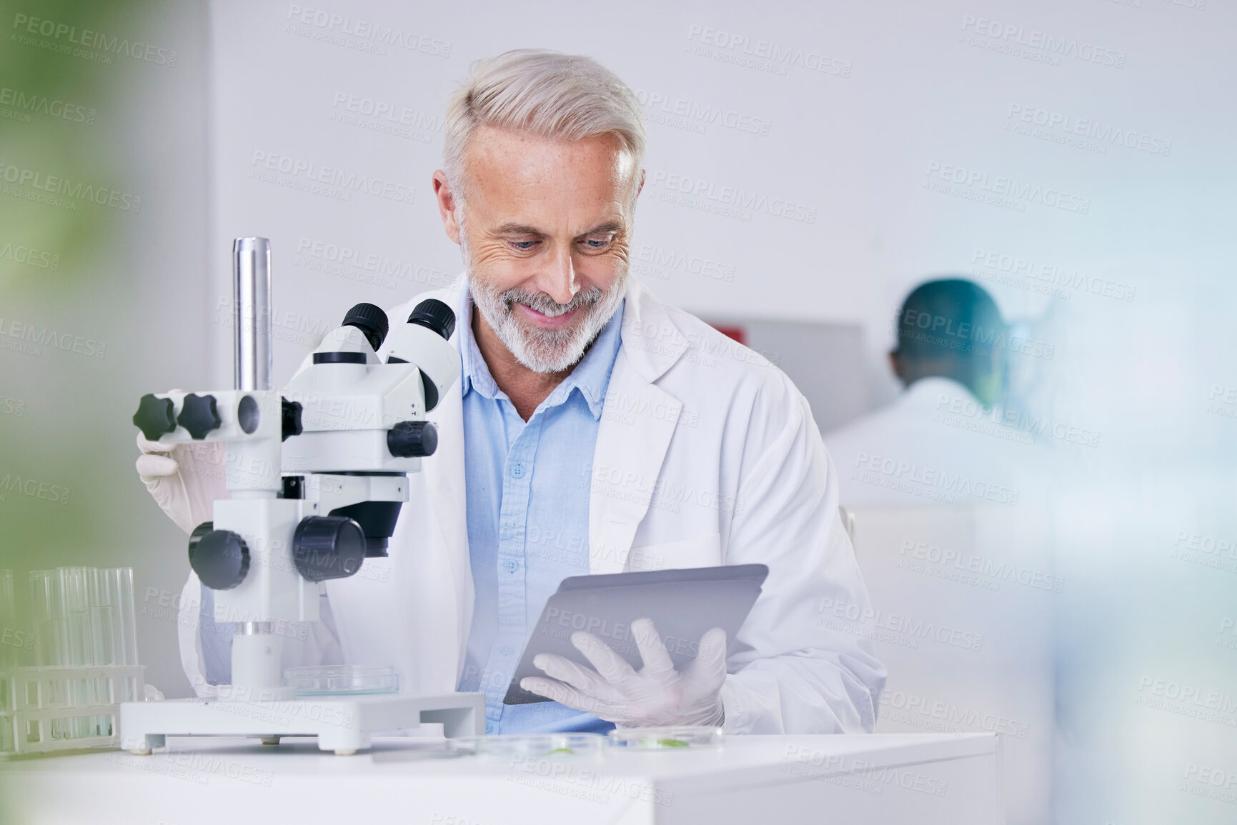 Buy stock photo Science, laboratory and happy man with microscope, tablet and research with plants, biotech or sustainable medicine. Professional scientist with study on nature, growth and digital analysis of leaves