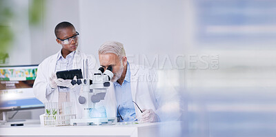 Buy stock photo Science, black woman with mockup and man with microscope, biotech and digital research in plants for medicine. Scientist team in study on nature, growth and digital analysis on tablet in laboratory.