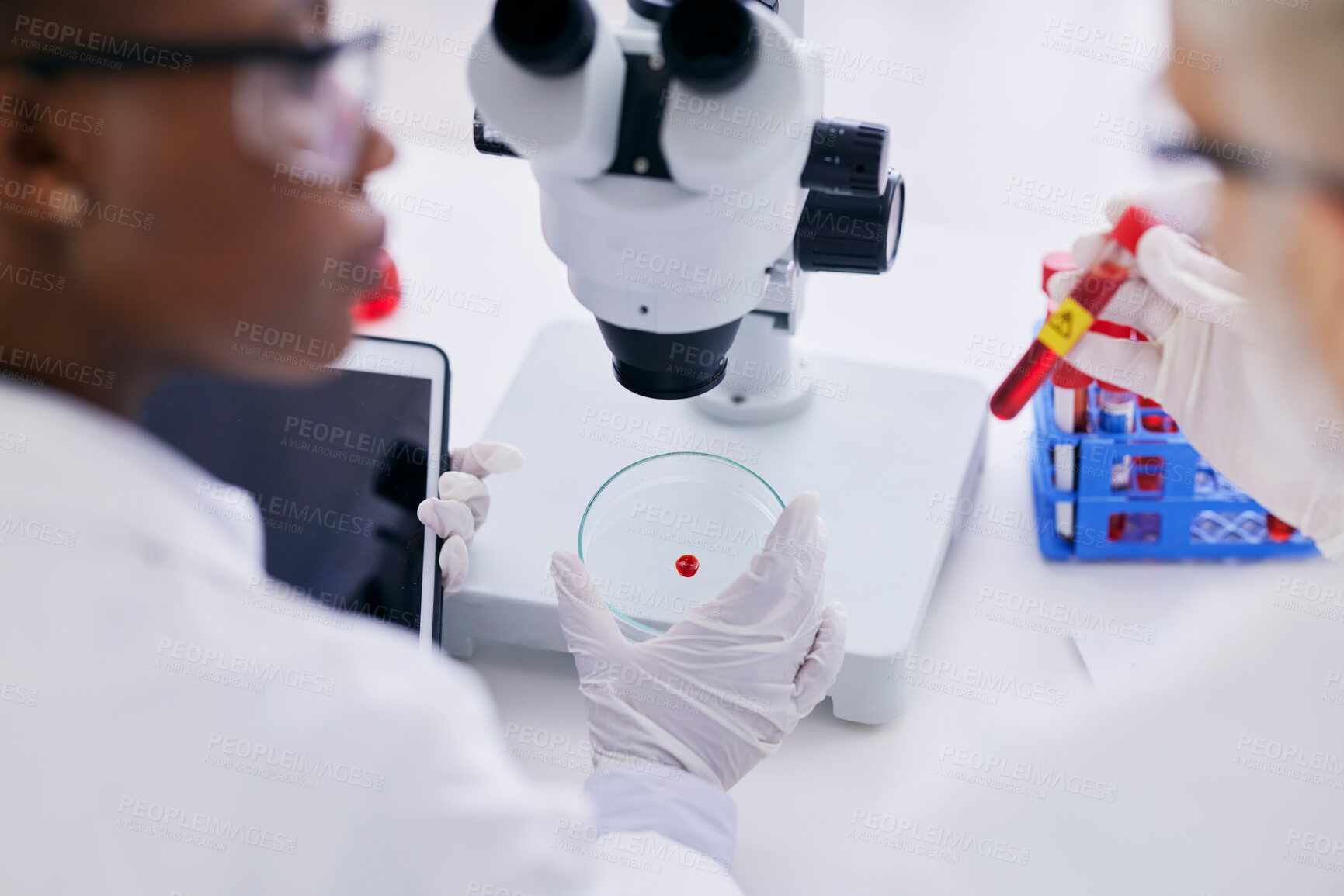 Buy stock photo Science, blood and people with test tube by microscope for research, medical study and DNA in lab. Healthcare, pharmaceutical and scientist team with petri dish for data analysis, biology and sample