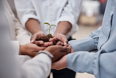 Buy stock photo Plant, hands and soil for business team with sustainability, growth or development. Closeup group of people for earth day, agriculture and eco friendly investment or climate change with collaboration
