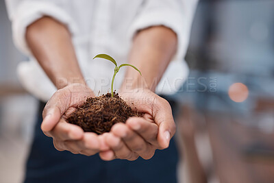 Buy stock photo Plant, hands and soil for green business with sustainability, growth and development. Closeup of a person for earth day, agriculture and eco friendly investment or climate change with sapling in palm