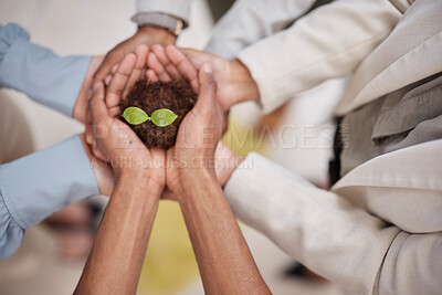 Buy stock photo Plant, soil and hands of business team with sustainability, growth or development. Above group of people for earth day, agriculture and eco friendly investment or support and trust with collaboration