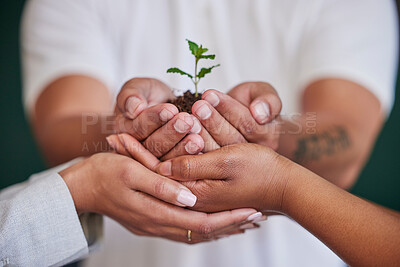 Buy stock photo Nature, plant and hands of business people support new tree life, green leaf grow or agriculture project development. Sustainable, environment investment and closeup team helping eco friendly future