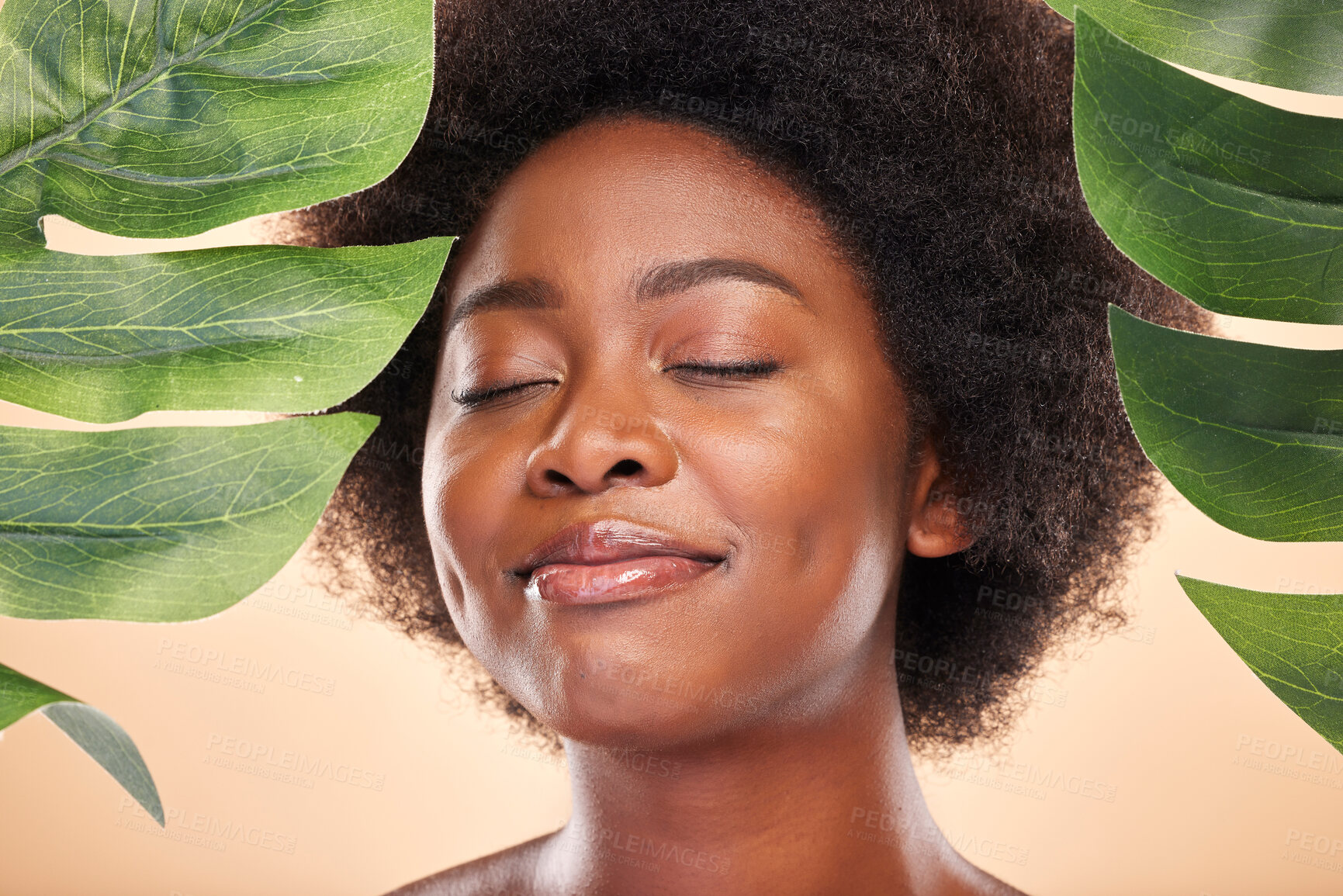 Buy stock photo Happy woman, face and monstera for beauty, natural cosmetics or eco friendly wellness on studio background. African model, green plant leaves and sustainability of vegan dermatology, skincare or glow