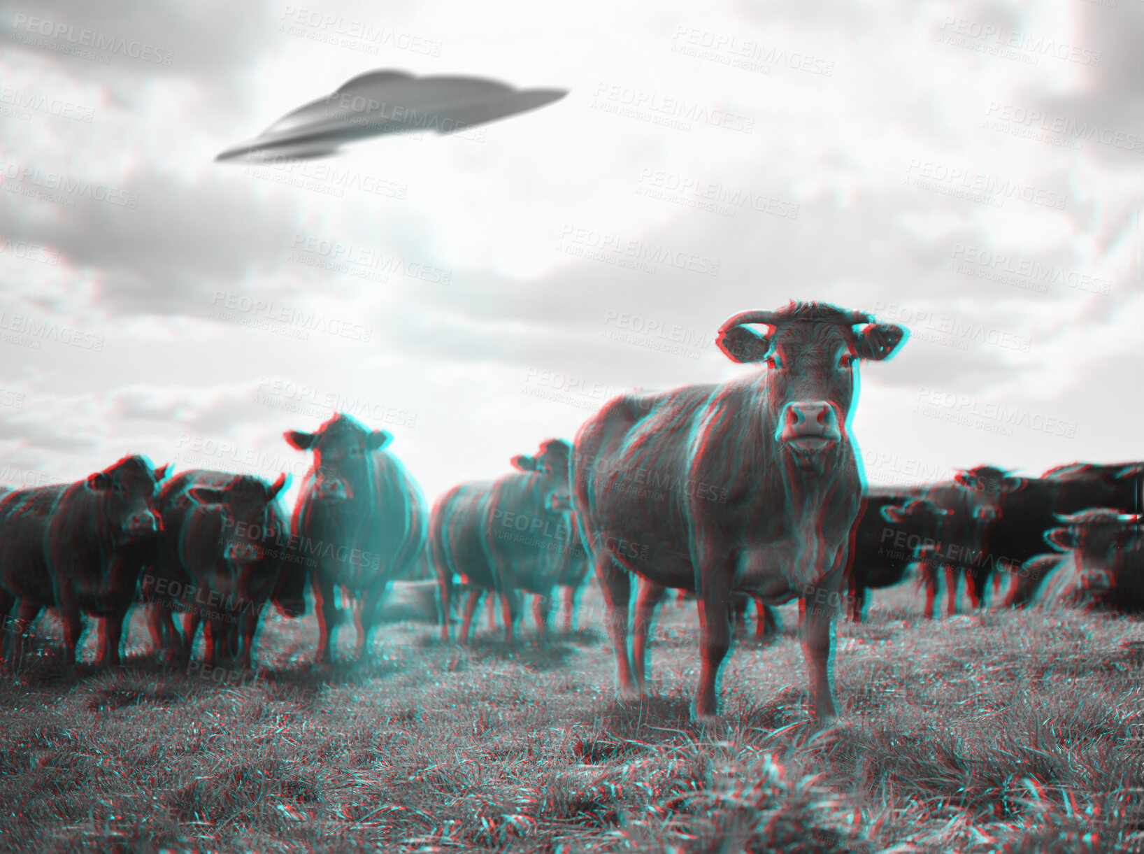 Buy stock photo Alien abduction, spaceship and UFO with cow in field for fantasy, science fiction and space invasion. Extraterrestrial, travel and flying saucer beam on cattle farm for discovery, explore and mystery