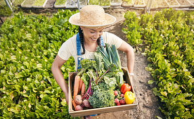 Buy stock photo Farmer, woman and vegetables box for agriculture, sustainability or farming in greenhouse and agro business. worker with green harvest or gardening in commerce, food product or groceries basket above