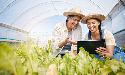 Buy stock photo Agriculture, teamwork and women with a tablet in a greenhouse for plants and sustainability. Happy people with technology together on farm for eco growth, agro business or quality control app