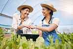 Success, agriculture and teamwork with a tablet in a greenhouse for plants or sustainability. Happy people with technology and fist bump to celebrate farm growth, agro business or quality control app