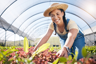 Buy stock photo Summer, agriculture and a farmer woman in a greenhouse for sustainability, organic growth or farming. Smile, happy and a female farm worker in an agro environment in the countryside for gardening