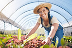 Portrait, agriculture and a woman in a farm greenhouse for sustainability, organic growth or farming. Plant, smile and a female farmer working in an agro environment in the countryside for gardening