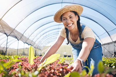Buy stock photo Portrait, agriculture and a woman in a farm greenhouse for sustainability, organic growth or farming. Plant, smile and a female farmer working in an agro environment in the countryside for gardening