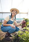 Greenhouse, portrait of happy woman holding beetroot at sustainable small business in agriculture and organic food. Girl working at agro farm, vegetable growth in garden and eco friendly with smile.
