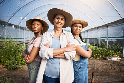 Buy stock photo Farming, portrait of group of women with confidence in greenhouse and sustainable small business in agriculture. Happy farmer team at vegetable farm, agro growth diversity and eco friendly plants.