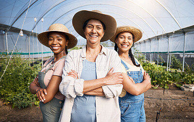 Buy stock photo Farming, portrait of group of women in greenhouse and sustainable small business in agriculture. Happy farmer team at vegetable farm, agro career growth and diversity with eco friendly organic plants