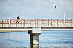Exercise, sky and a man running on a bridge for a cardio or endurance workout with cloudy mockup. Fitness, sports and training for a marathon with a male runner or athlete outdoor for a challenge