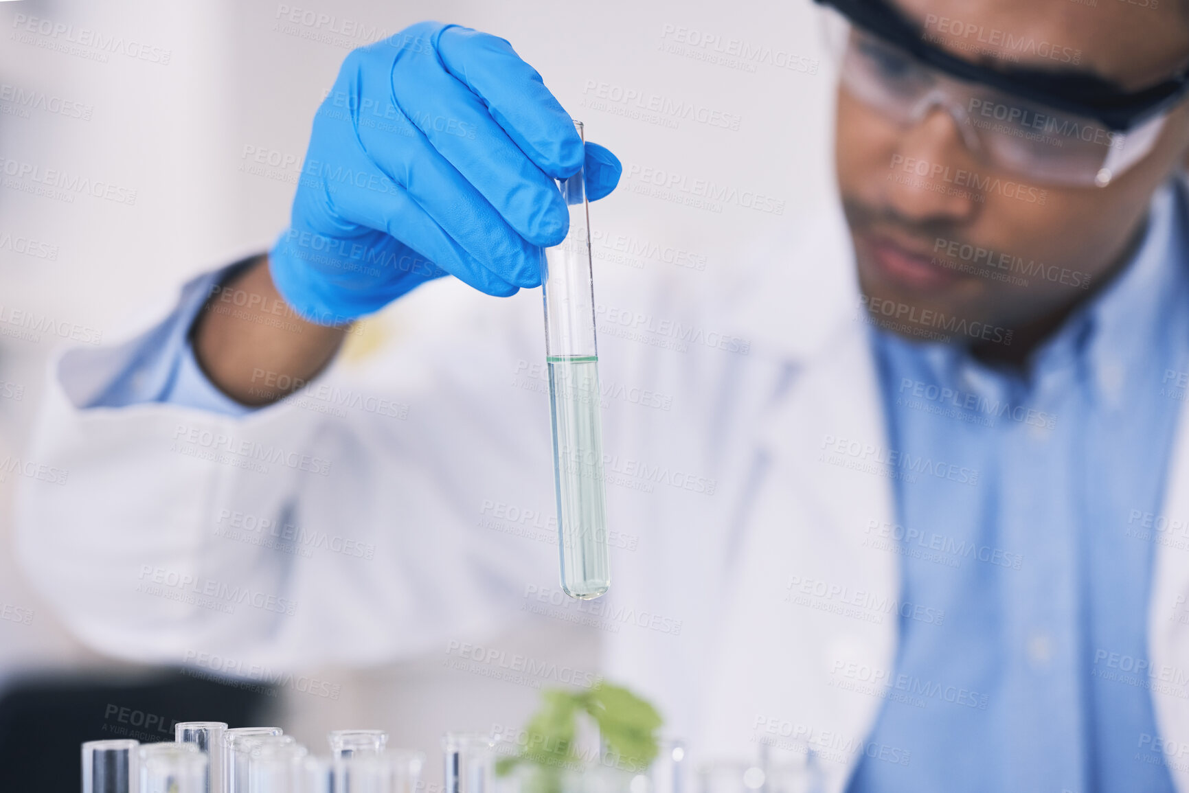 Buy stock photo Science, nature and man with test tube in laboratory, research and thinking with plants. Biotechnology, pharmaceutical study and scientist with leaf, lab technician checking green solution in glass.