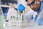 Science, plants and man with test tube in laboratory, research and thinking with nature. Biotechnology, pharmaceutical study and scientist with leaf, lab technician checking green solution in glass.