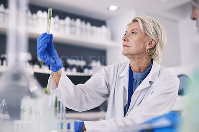 Buy stock photo Science, leaves in test tube and mature woman in laboratory, research and thinking with nature. Biotechnology, agro study and scientist with plants, lab technician checking green solution in glass.