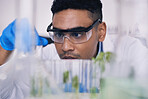 Science, nature and man with test tube in laboratory, research and thinking with plants. Biotechnology, pharmaceutical study and scientist with leaf, lab technician checking green solution in glass.