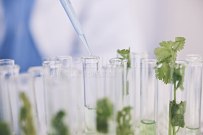 Buy stock photo Science, leaves in test tube and lab research on growth, development and natural medicine. Biotechnology, pharmaceutical study and scientist with pipette, medical laboratory and leaf in glass