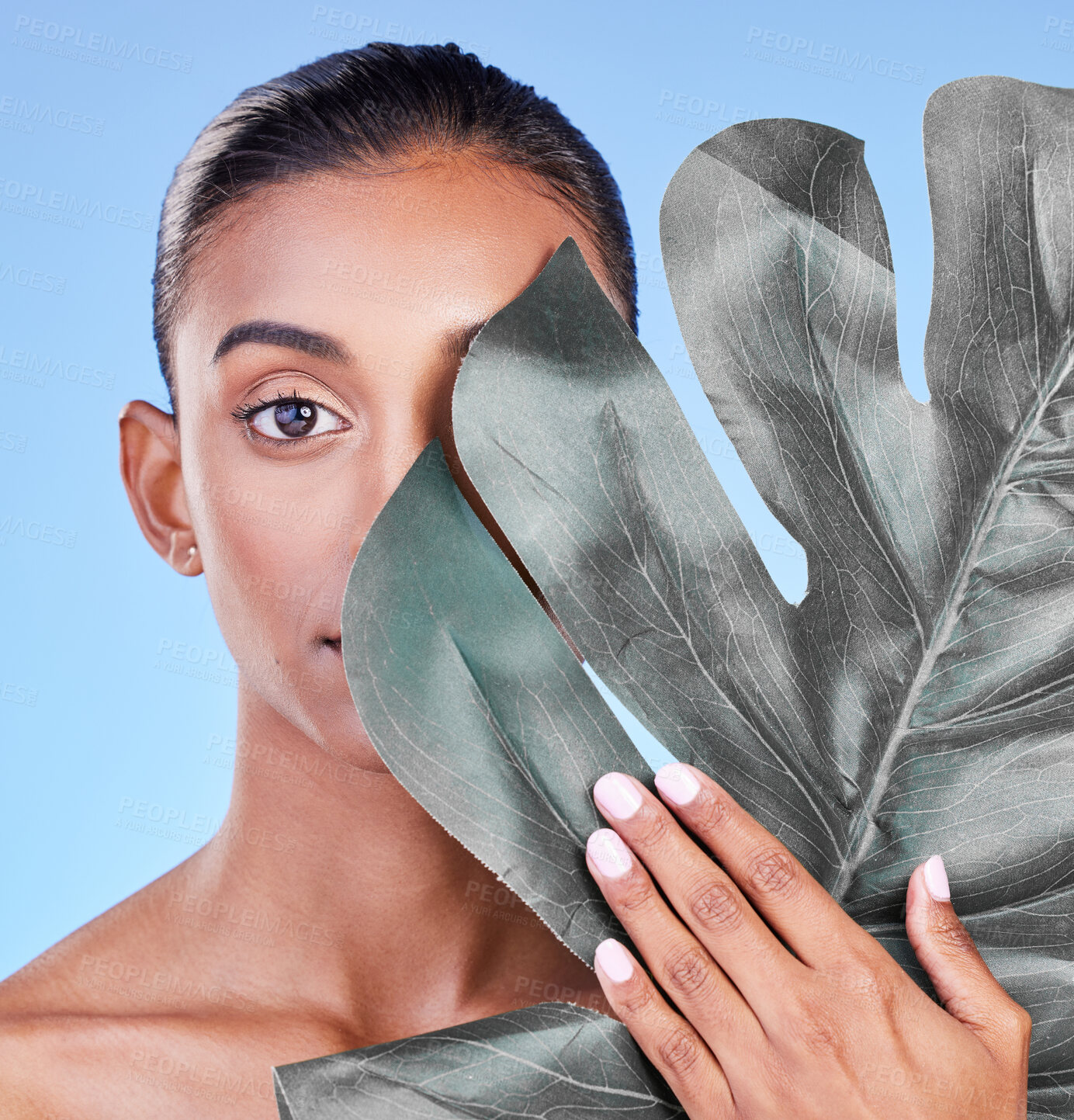 Buy stock photo Beauty, leaf and portrait of woman in studio for eco friendly, wellness or cosmetics on blue background. Monstera, face and Indian female with natural dermatology, skincare or organic facial care 